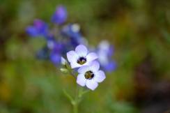 11045458_10203901563964788_6381657968928243274_n